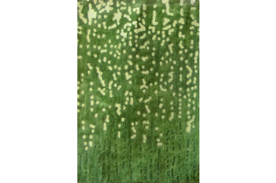 FHT 2594 Rug
