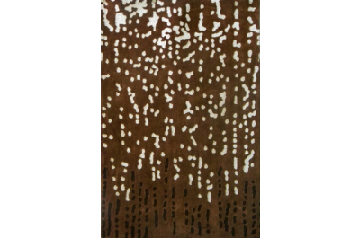 FHT 2595 Rug