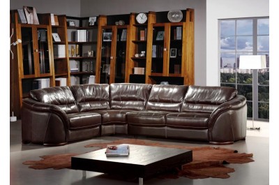Renava Italian Leather 262 Sectional Sofa in Dark Brown