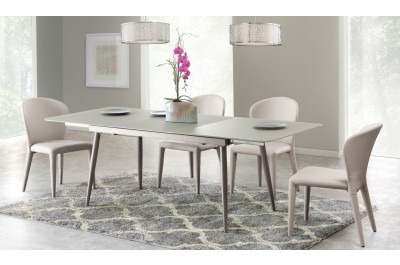 Modern Glass dining table with extension w/4 side chairs