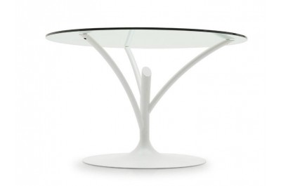 Calligaris CS/4071-V140 Acacia Glass Table