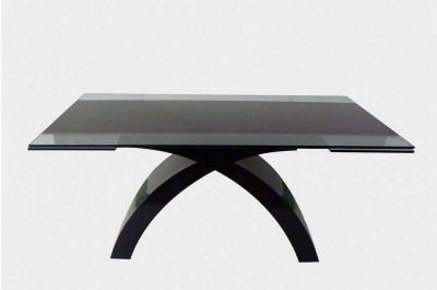 Modern Style Glass Top Extendable Dining Table J612