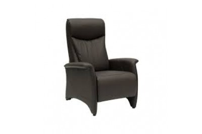Modern Style Dolly Leather Chair Recliner- PR