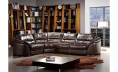 Renava Italian Leather 262 Sectional Sofa in Dark Brown