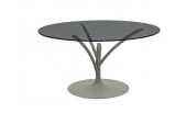 Calligaris CS/4071-V120 Acacia Glass Table
