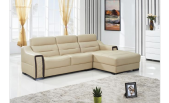 Modern Leather Sectional P835-M