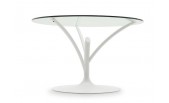 Calligaris CS/4071-V140 Acacia Glass Table