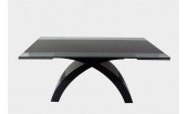 Modern Style Glass Top Extendable Dining Table J612
